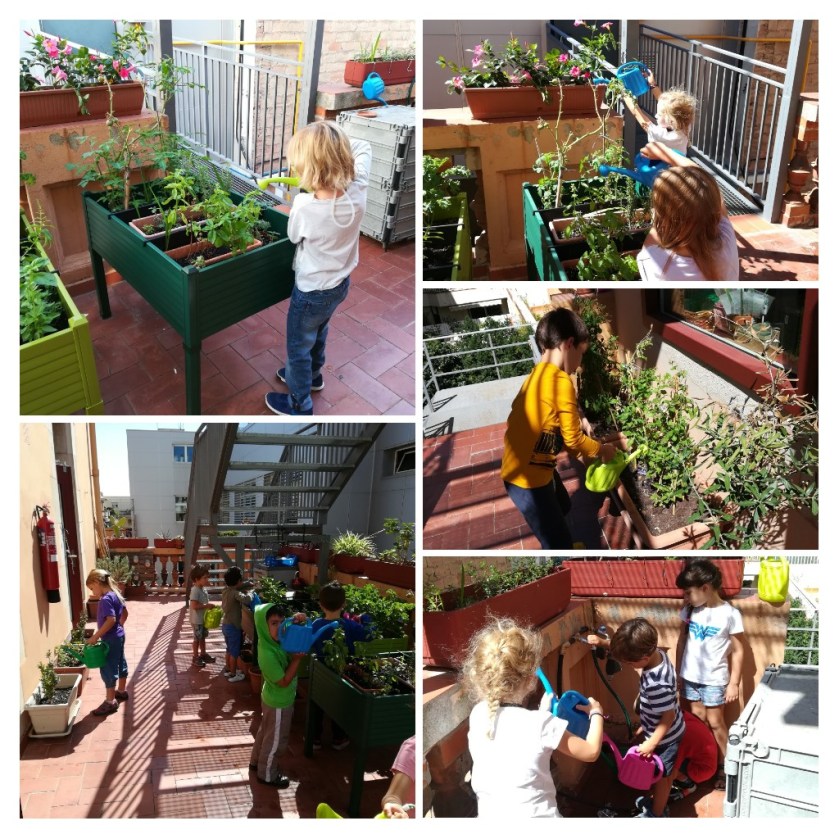 20170925_163849-COLLAGE